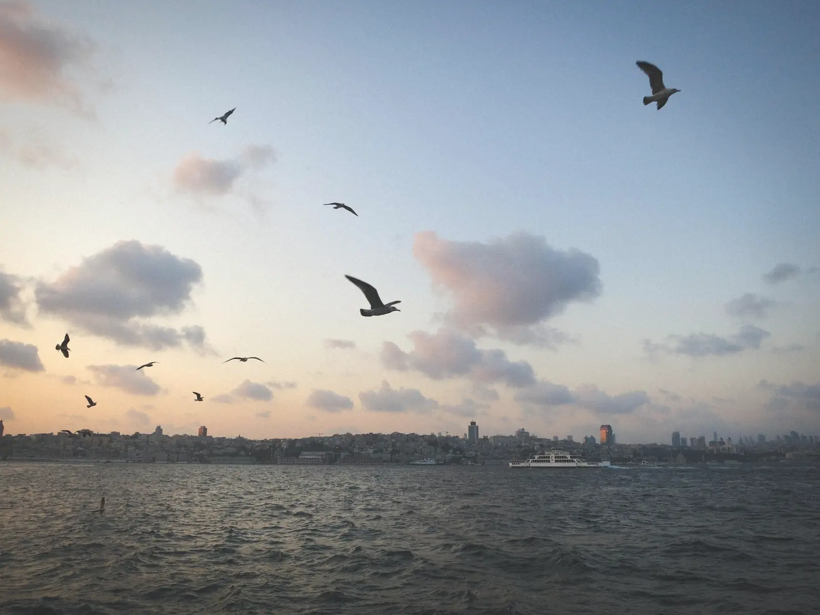 Akşamüstü deniz üzerinde uçan martılar, uzakta bir kıyı şeridi